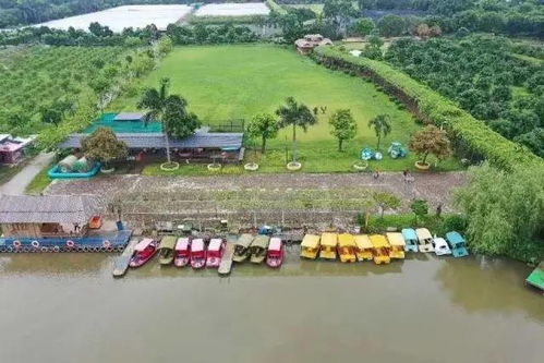 恐龍出沒(méi) 萌寵來(lái)襲 五一假期,這個(gè)生態(tài)園區(qū)帶你回歸童年