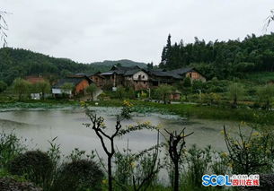 瀘州打造全國一流現(xiàn)代竹精品產(chǎn)業(yè)科技生態(tài)園區(qū)