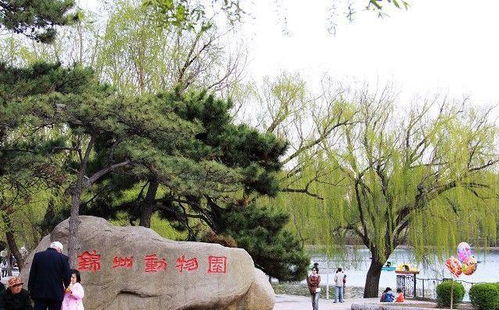 錦州動物園即將搬遷至三角山生態園內,已經開始工程設計招標