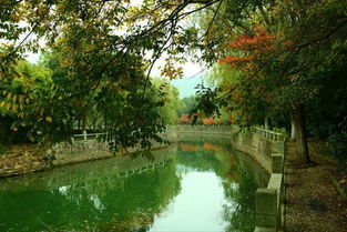 蘇州避暑秘境｜九龍?zhí)渡鷳B(tài)園 炎夏26℃的清涼天堂，一般人我不告訴TA