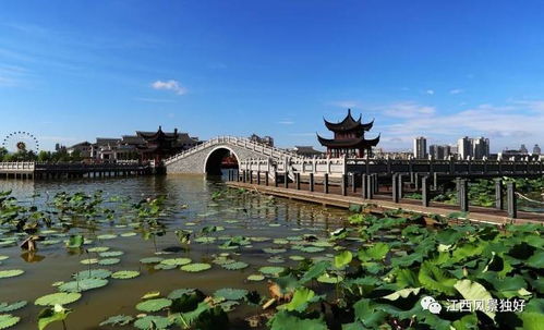 文化是旅游的靈魂，江西文化旅游發(fā)展大有可為——以九龍?zhí)渡鷳B(tài)園為例