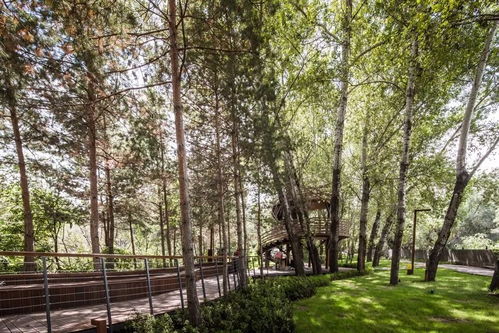 2018城市更新典范 九龍?zhí)渡鷳B(tài)園的綠色新生