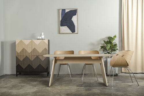 一年銷售2500把 銀杏椅 , side 想成為商業和家庭都適用的現代原創家具品牌